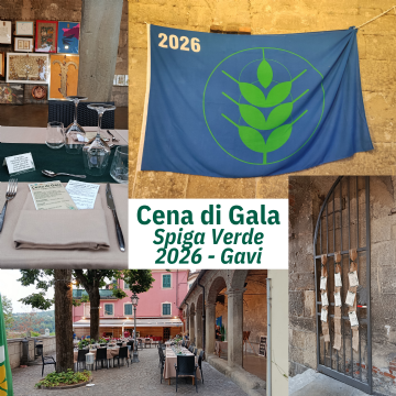 Sfoglia la galleria